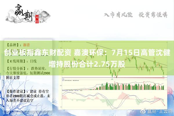 创业板指鑫东财配资 嘉澳环保：7月15日高管沈健增持股份合计2.75万股