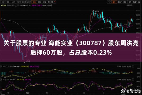 关于股票的专业 海能实业（300787）股东周洪亮质押60万股，占总股本0.23%