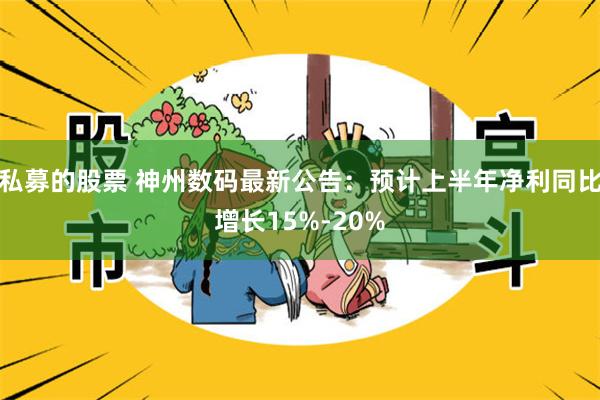 私募的股票 神州数码最新公告：预计上半年净利同比增长15%-20%