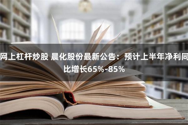 网上杠杆炒股 晨化股份最新公告：预计上半年净利同比增长65%-85%