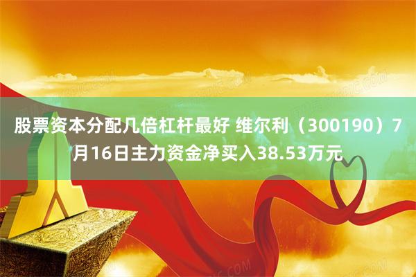 股票资本分配几倍杠杆最好 维尔利（300190）7月16日主力资金净买入38.53万元