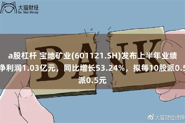 a股杠杆 宝地矿业(601121.SH)发布上半年业绩，净利润1.03亿元，同比增长53.24%，拟每10股派0.5元