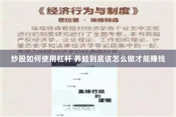 炒股如何使用杠杆 养蛙到底该怎么做才能赚钱