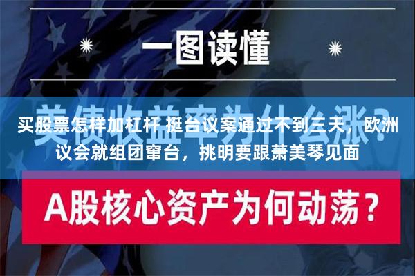 买股票怎样加杠杆 挺台议案通过不到三天，欧洲议会就组团窜台，挑明要跟萧美琴见面