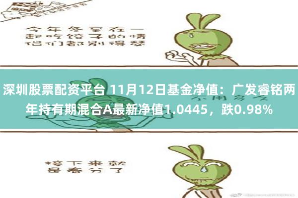 深圳股票配资平台 11月12日基金净值：广发睿铭两年持有期混合A最新净值1.0445，跌0.98%